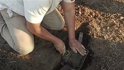 عايشين وسطهم.. أهالي قرية عزب الكوم بالبحيرة يستعينون بصائد ذئاب بعد عقر أحد المزارعين 