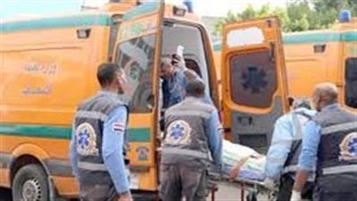 إصابة 7 أشخاص في انقلاب ميكروباص بطريق الخارجة الوادي الجديد|بث مباشر 