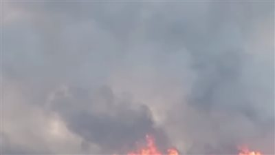 3175 حريقا في شهر.. البرازيل تعلن حالة الطوارئ وتعتقل شخصين بتهمة إشعال الحرائق في البلاد 