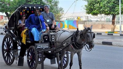 منع عربات الحنطور غير المرخصة.. قرارات جديدة لمحافظة الأقصر لضبط منظومة خطوط السير| بث مباشر