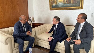 وزير الكهرباء يجتمع مع روساتوم الروسية لبحث تسريع تنفيذ مشروع محطة الضبعة النووية