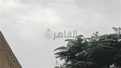  العظمى 34 درجة.. الأرصاد الجوية تكشف عن حالة الطقس في مصر اليوم الأحد