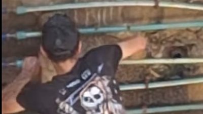 القبض على اللص صاحب فيديو سرقة عدادات المياه بالمقطم 