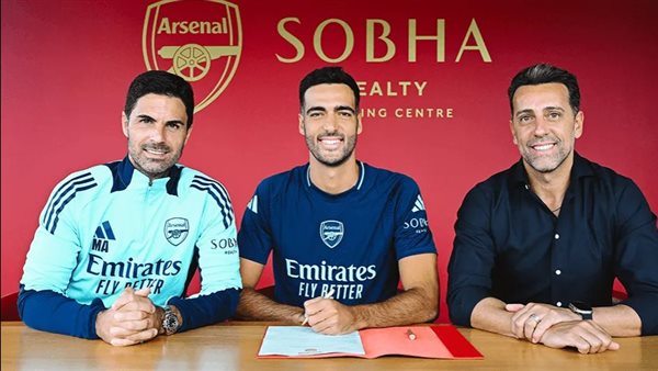 مايكل ميرينو