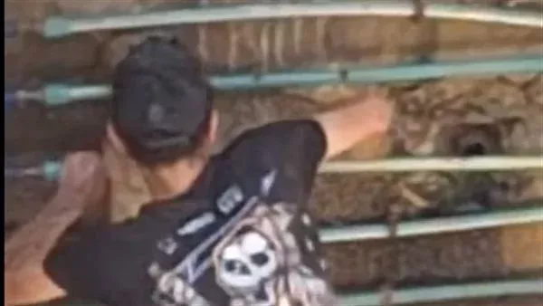 جانب من الواقعة