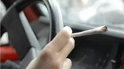 حبس طالب جامعي لاتهامه بتعاطي الحشيش خلال قيادته سيارة بأكتوبر