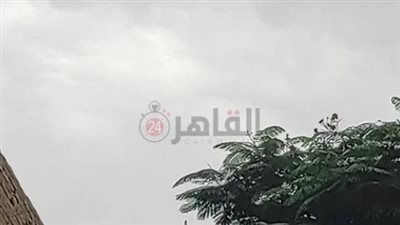 شبورة على أغلب الأنحاء.. الأرصاد تكشف حالة الطقس في مصر غدًا
