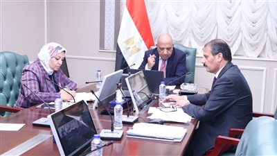 مصر تبحث مع الاتحاد الأوروبي مستجدات الربط الكهربائي وتصدير الطاقة إلى أوروبا 