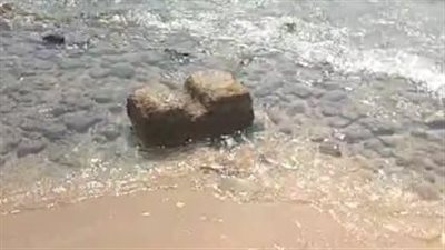 انحسار مياه الشواطئ وظهور الصخور بمدينة شرم الشيخ|بث مباشر 