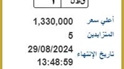 بـ1.3 مليون جنيه.. تفاصيل لوحات المرور المميزة المتاحة للتزايد الآن في مصر