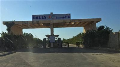 اتهامات بالتزوير وتعاقدات في مهب الريح.. شكاوى ملاك شاليهات قرية داليا بالساحل الشمالي ضد مسئولي إدارتها