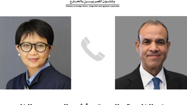 وزيرا خارجية مصر