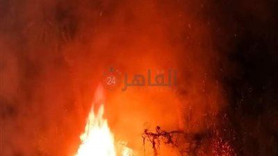 حريق يلتهم أشجار النخيل بقرية عين السيليين بالفيوم