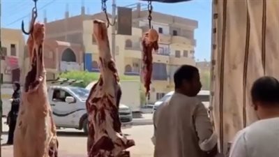 بسبب انخفاض الأعلاف.. نقيب الفلاحين: اللحوم الحية تسجل 150 جنيهًا للكيلو القائم | بث مباشر 
