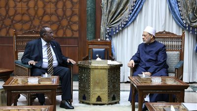 شيخ الأزهر: نتضامن مع الشعب الصومالي فيما يمر به من تحديات وصراعات