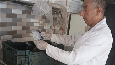 بعد نفوق كميات كبيرة بإحدى الترع.. حملات تفتيشية مكبرة على محال بيع الأسماك بـ3 مراكز في الغربية