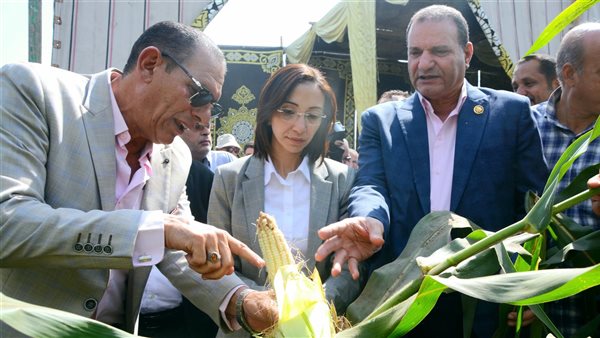 افتتاح موسم حصاد