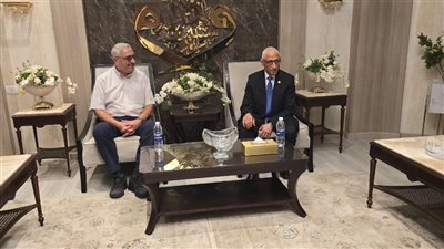 محافظ شمال سيناء يستقبل وفد منظمة الصحة العالمية