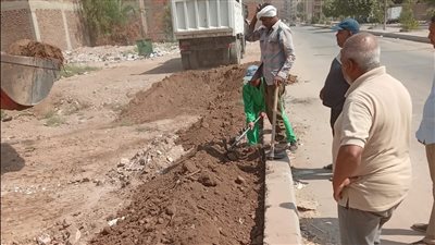 الأقصر ترتدي الأخضر.. زراعة 500 شتلة أشجار بشارع التلفزيون وسط المدينة| صور