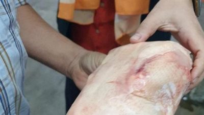 ضبط 5.6 أطنان دواجن ولحوم مجهولة المصدر في مصنع بالشرقية| صور