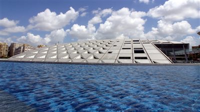 مكتبة الإسكندرية تحتفل باليوم العالمي لمرض السكري