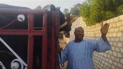 القبض على 4 مسجلين خطر بتهمة سرقة 3 رؤوس ماشية من مزارع في قنا