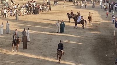 فرسان الصعيد.. مونديال وتجمع للخيول في منشأة العماري بالأقصر احتفالا بالمولد النبوي| صور