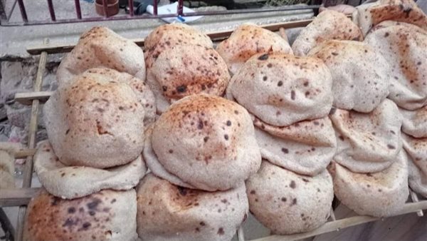 حملات تفتيشية بالمنيا