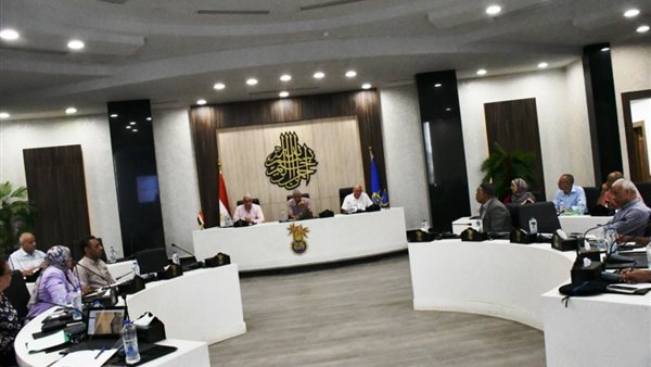 محافظ أسوان