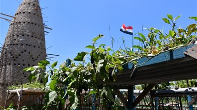 “فيها حاجة حلوة”.. قرية نجع عون في البحيرة تزرع أسطح المنازل بكافة أنواع الزراعات (صور)