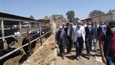 وزير الزراعة يقوم بجولة مفاجئة لبعض المشروعات الزراعية بالإسكندرية والبحيرة