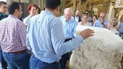 “الزراعة” و”التجارة والصناعة” يصدران قرارًا وزرايًا جديدًا بشأن تداول القطن.. تعرف عليه