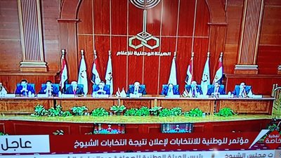 المستشار لاشين إبراهيم: نسبة التصويت في انتخابات مجلس الشيوخ 14.23%