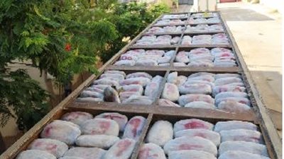 ضبط سائق وعاطل يتاجران في الهيروين بالإسماعيلية