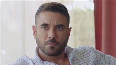 حجز جلسة محاكمة شقيقة زينة في واقعة التعدي على أحمد عز للحكم في 27 أغسطس