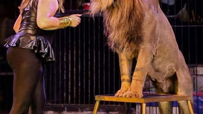 برنامج السيرك القومي بالعجوزة يقدم 13 فقرة فنية (صور)