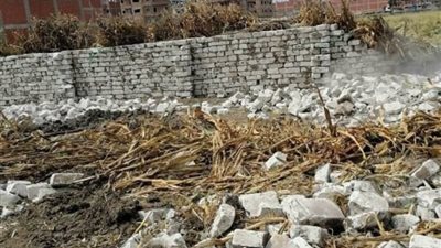 تنفيذ 39 إزالة لتعديات على الأراضي الزراعية بالمنوفية