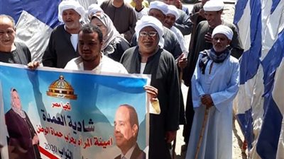 مرشحة محتملة للبرلمان تستغل لجان الشيوخ للدعاية الانتخابية في قنا (صور)