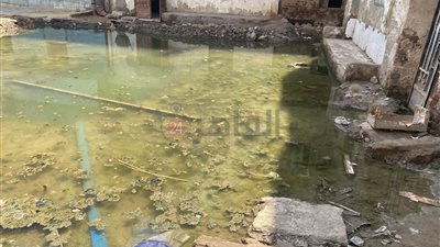 أهالي منيل شيحة يستغيثون بمحافظ الجيزة: المياه تغرق منازلنا.. وستحدث كارثة│صور