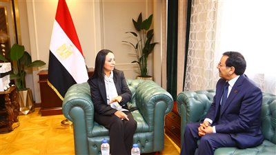 وزيرة التضامن تلتقي المدير العام للمنظمة العربية للتنمية الإدارية لبحث تعزيز أوجه التعاون المشترك