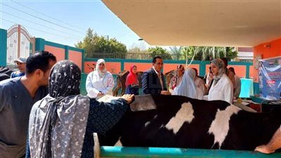 فحص بالسونار.. بيطري المنيا يقدم 563 خدمة خلال قافلة مجانية بمركز سمالوط