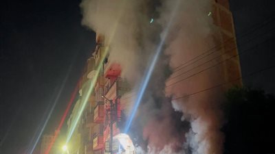 السيطرة على حريق بأشجار داخل مدرسة مهجورة في شبين القناطر | صور