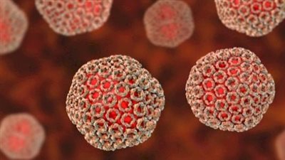 42 حالة وفاة.. الصحة العالمية تعلن تفشي فيروس حمى الوادي في موريتانيا والسنغال