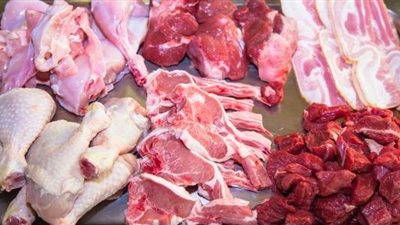 ضبط أسماك ولحوم وكبدة منتهية الصلاحية خلال حملات تموينية بالبحيرة