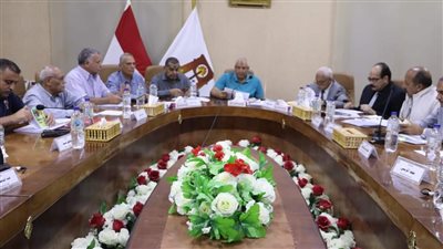 سحب الأراضي غير المستغلة بمبادرتي النخيل والحرير في الوادي الجديد