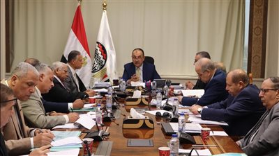 وزير قطاع الأعمال يوجه بتوسيع شراكة القابضة للصناعات الكيماوية مع القطاع الخاص