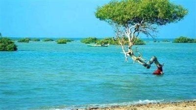 بشراكة إيطالية.. منح أول ترخيص ممارسة نشاط سياحي بيئي داخل محمية وادي الجمال