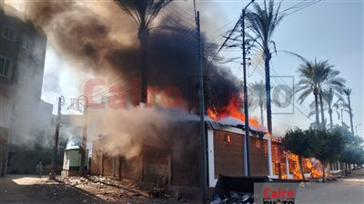 نشرة أخبار الحوادث|الإعدام للمتهم بقتل 3 مصريين في قطر.. وتجديد حبس مدير مستشفى بعد عقر كلبه لسيدة