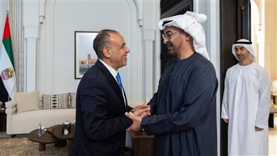 وزير الخارجية يلتقي الرئيس الإماراتي ويبحثان تطورات الأزمة في قطاع غزة