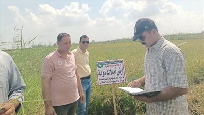 استرداد 21 فدانا من أملاك الدولة بالشرقية.. والمحافظ: تباع في مزاد علني | صور